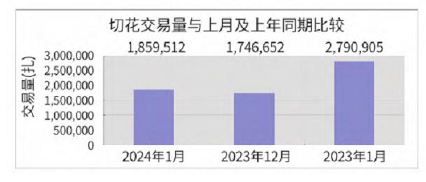 2024年1月台北花卉市场盆花 切花行情