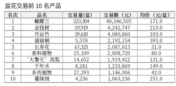 2024年1月台北花卉市场盆花 切花行情