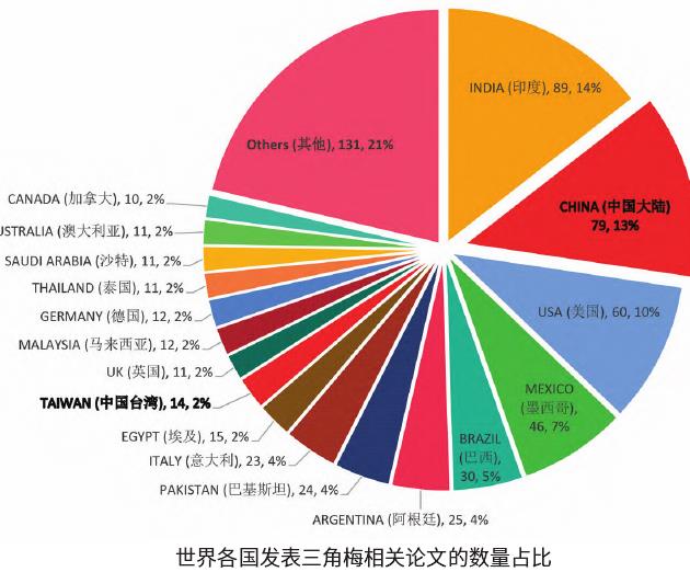 三角梅已逐渐成为我国大宗主流观赏花卉