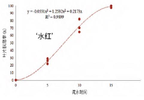 三角梅品种耐涝性有多强的浅析