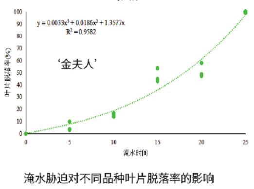 三角梅品种耐涝性有多强的浅析