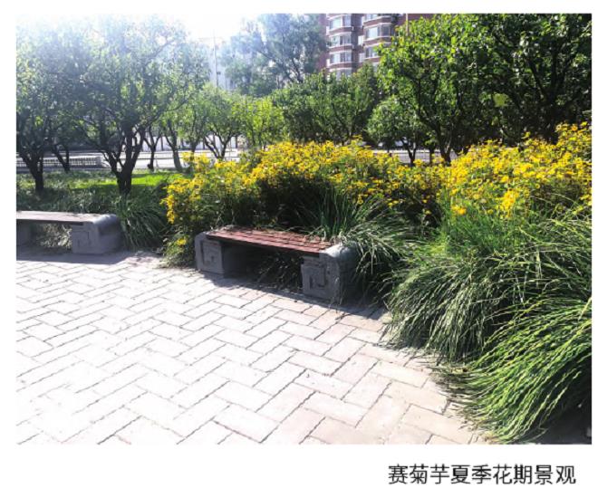 北京明城墙遗址公园植物景观的布置方法