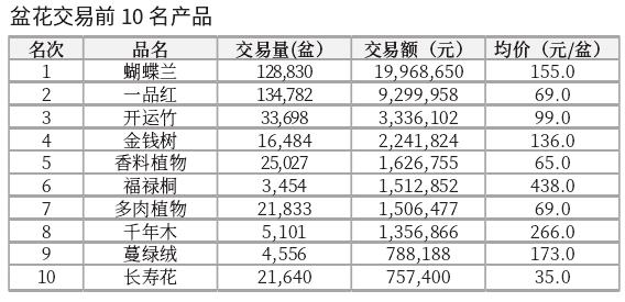 2023年12月台北花卉市场盆花 切花行情