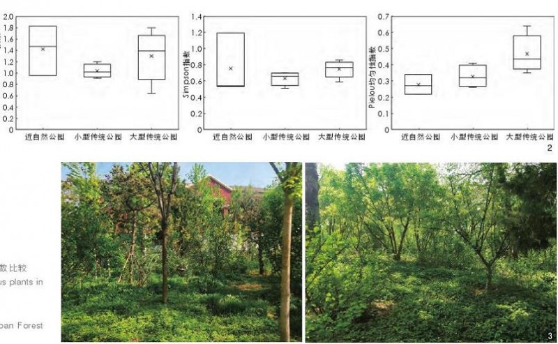 北京基于自生植物的城市公园草本层养护管理优化