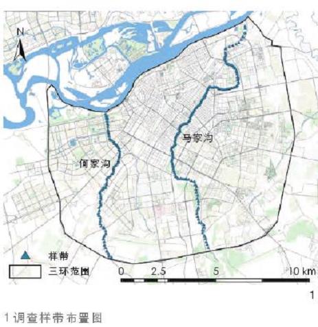 哈尔滨城市河流廊道草本层自生植物多样性及分布特征