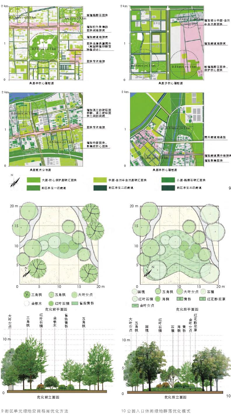 西安城市街区单元绿地空间格局与植物群落碳汇效益优化