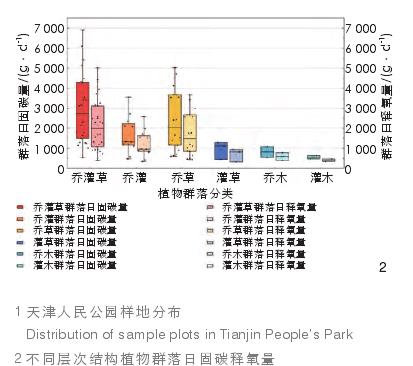 天津绿地固碳释氧效益对植物群落特征因子响应分析