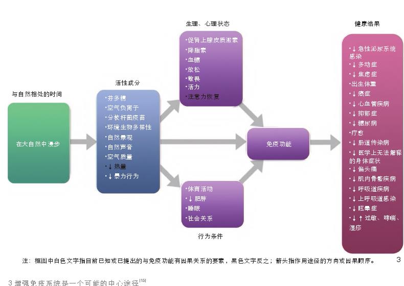 发展园艺类治疗方法理论的重要概念