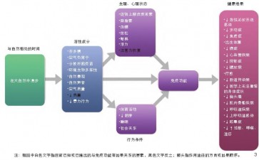 发展园艺类治疗方法理论的重要概念