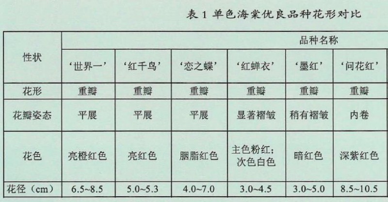 沂州海棠优良新品种花形对比图片