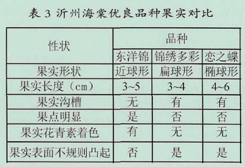 沂州海棠优良新品种花形对比图片