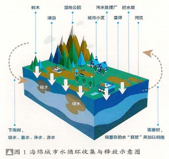 基于海绵城市理念的景观绿化设计应用