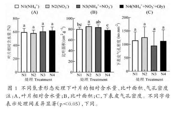 不同氮素形态处理对菠萝叶片性状与元素含量的影响