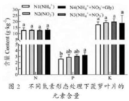 不同氮素形态对巴里菠萝生长和果实发育的影响