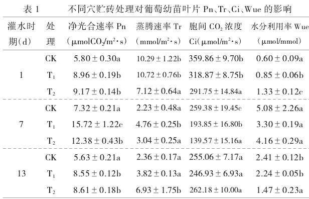 不同果树穴贮砖块处理葡萄叶片光合指标的变化