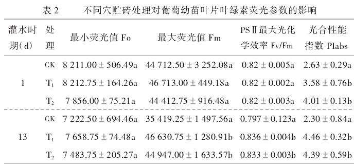 不同果树穴贮砖块处理葡萄幼苗叶片叶绿素荧光参数的变化