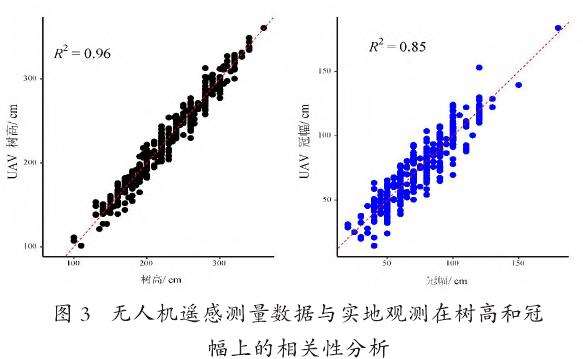 基于无人机监测不同修枝处理方式对柏木生长性状和碳储量的影响