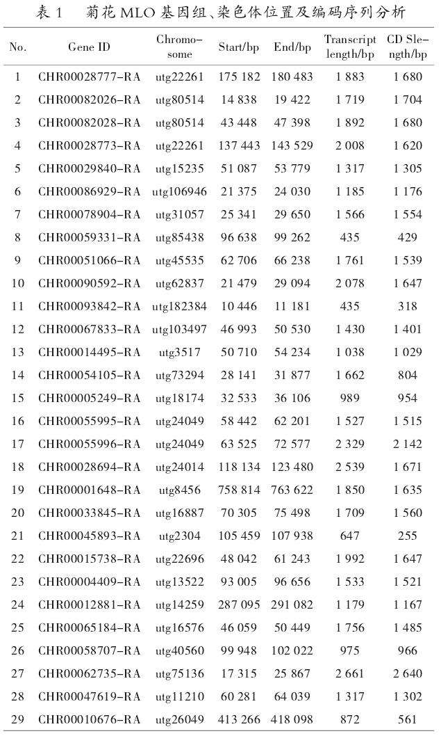 菊花MLO基因家族成员的鉴定结果
