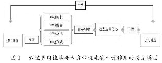 盆栽多肉植物对公众身心健康的影响研究