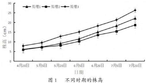 不同栽培基质对绶草株高的影响