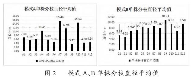 修剪对边坡绿化植物冬红生长及开花的影响