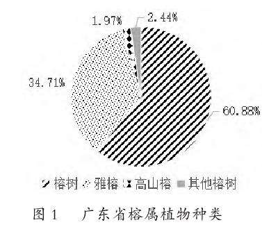 广东榕属植物资源现状及榕树文化推广对策