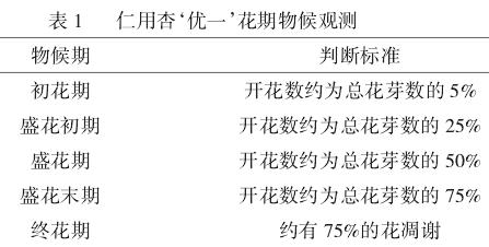 仁用杏花期败育类型的研究及分析