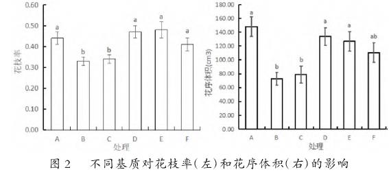 园林工程用寒月姜花大袋苗栽培基质优化研究