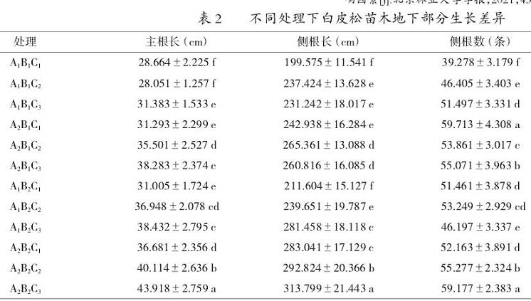 不同处理对白皮松苗木地下部分生长的影响