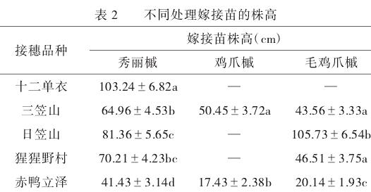 不同砧木对5个槭树品种嫁接苗株高的影响